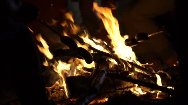 Сосиски Палочках Жарящиеся Костре Риск Лесных Пожаров Гриль Выходные — стоковое видео