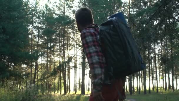 自由と休日 ハイキングを楽しんで 森を歩くのバックパックとうれしそうな男 — ストック動画