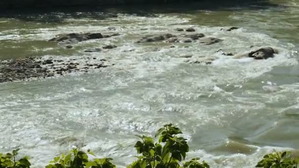 Huge Flooded River Flows Speedily Untouched Nature Conditions Dirty Water — Stock Video