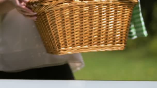 女性把野餐篮放在桌子特写镜头上 家庭周末的露天餐 — 图库视频影像