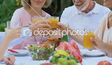 İnsanlar gözlük suyu, sağlıklı organik ürünler, piknik aile ile sorun