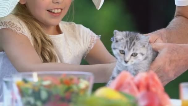 Hübsches Mädchen Mit Gestromtem Kätzchen Zeit Mit Den Großeltern Verbringen — Stockvideo