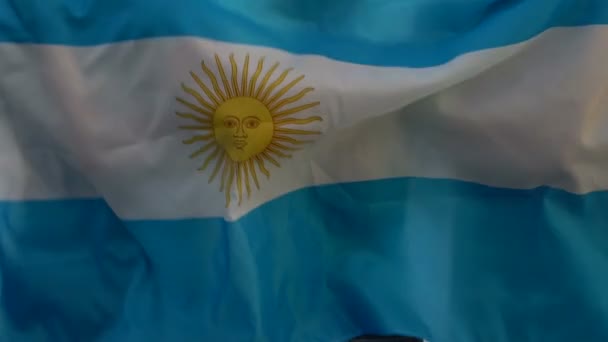 足球迷包裹在阿根廷国旗跳和在体育场观看比赛 — 图库视频影像