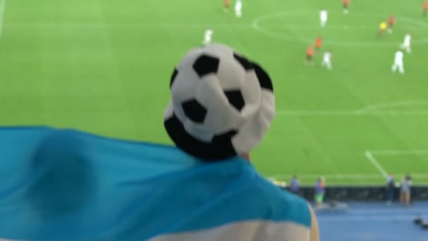 Ποδόσφαιρο Ανεμιστήρα Στο Αστείο Καπέλο Τυλιγμένο Σημαία Αργεντινής Βλέποντας Παιχνίδι — Αρχείο Βίντεο