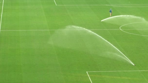 Voetbalveld Gedrenkt Match Onderhoud Van Gras Standplaatsen Slow Motion — Stockvideo