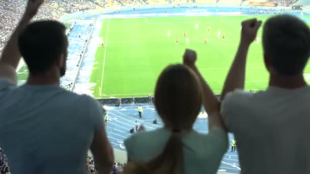 Aufgeregte Fußballfans Springen Und Singen Auf Den Rängen Und Unterstützen — Stockvideo