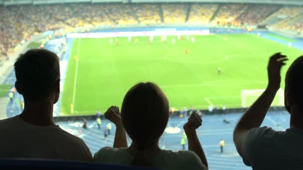 Arkadaşlar Gol Futbol Stadyumunda Birlikte Izlerken Dostluk Sevindirici — Stok video