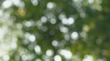 Üst düzey iki güçlü park arka planı, onların elele yakın çekim