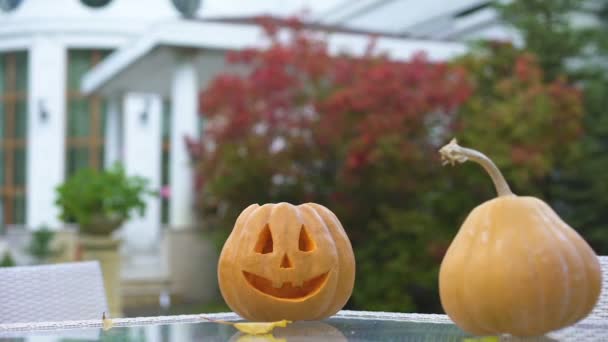 Dyni Jack Stół Stoczni Przygotowanie Halloween Party Kreatywność — Wideo stockowe