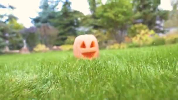 Pompoen Aansluiting Het Gras Tuin Creatieve Decoratie Voor Halloween Feest — Stockvideo