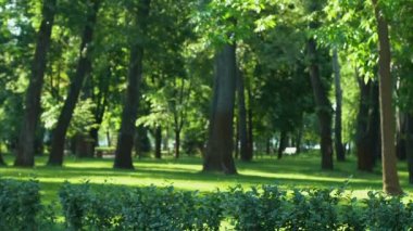 Obez adam ekstra kilo, aktif yaşam tarzı ve motivasyon, spor için koşu