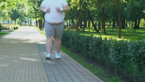 Fat Man Big Belly Running Park Early Morning Desire Lose — Stock Video