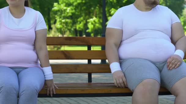 Funny Fat Woman Man Sitting Bench Flirting Each Other Feelings — Stock Video