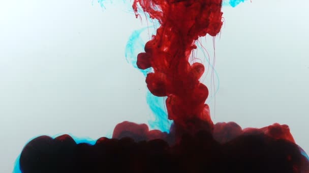 Bloody Red Paint Slowly Dissolving Water Chemical Reaction Abstract — Stock Video