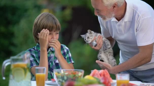 Opa Presenteert Langverwachte Kitten Kleinzoon Verrassing Anticipatie — Stockvideo