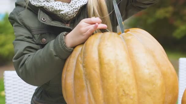 Schattig Meisje Snijden Biologische Pompoen Uit Huis Moestuin Oogst Gezonde — Stockvideo