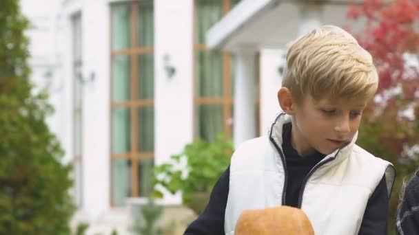 Söt Liten Pojke Att Hjälpa Sin Vän Att Snida Pumpa — Stockvideo