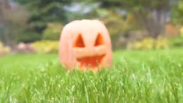 Eng Gesneden Jack Lantaarn Staande Gras Van Achtertuin Halloween Party — Stockvideo