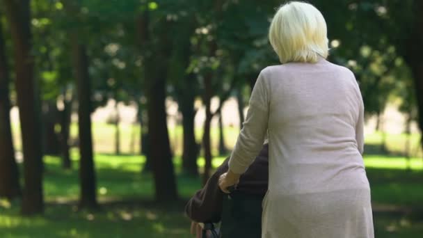 Mujer Llevando Silla Ruedas Con Hombre Hija Visitando Padre Hogar — Vídeos de Stock