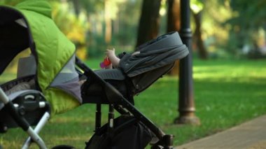 Bebek arabasındaki bebek çıngırak, Doğum, nüfus sonrası sosyal destek çalış