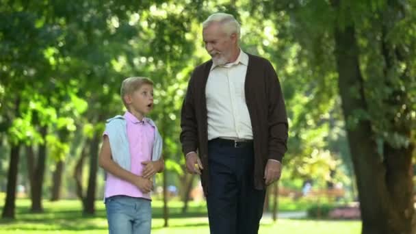 Opgewonden Jongetje Vertelt Indrukken Naar Opa Vertrouwelijke Gesprek Vriendschap — Stockvideo