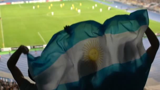 Aficionados Fútbol Con Bandera Argentina Saltando Gradas Animando Equipo Favorito — Vídeos de Stock