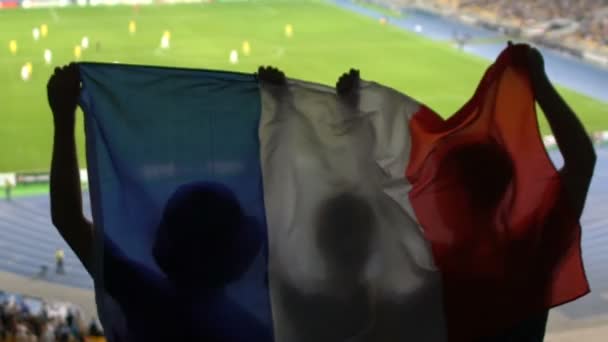 Aficionados Fútbol Con Bandera Francesa Saltando Gradas Animando Equipo Favorito — Vídeo de stock
