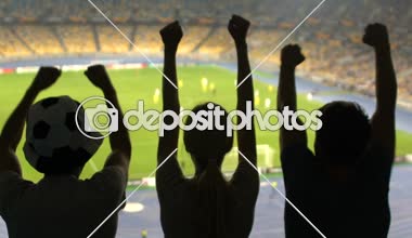 Futbol taraftarları tribünlerde atlar, arkadaş sevinirler favori takım zafer, adrenalin