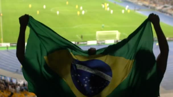 Футбольные Болельщики Бразильским Флагом Прыгают Трибунах Болея Любимую Команду — стоковое видео