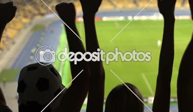 Oyunu izlerken, takım zafer zevk mutlu kadın ve erkek futbol taraftarları