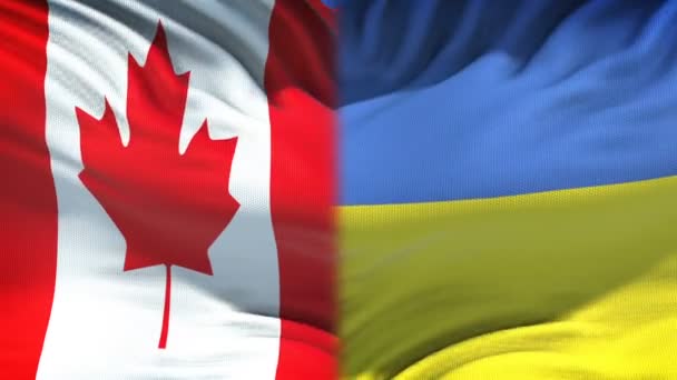 Canada Ukraine Flags Background Diplomatic Economic Relations Business — Stock Video