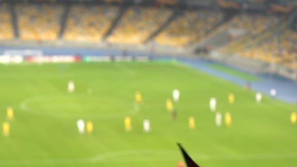 スポーツのサッカー ファン手を振るドイツの旗 スタジアムで代表チームをサポート — ストック動画