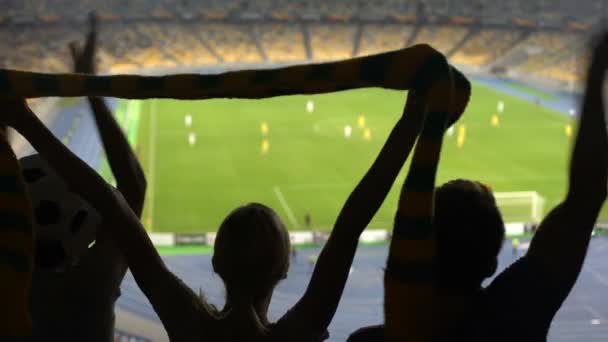 德国足球迷高兴地拥抱并在体育场 足球上挥舞国旗 — 图库视频影像