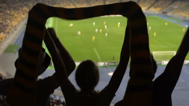 Argentinië Groep Van Fans Met Steun Aan Voetbalteam Tijdens Voetbalwedstrijd — Stockvideo