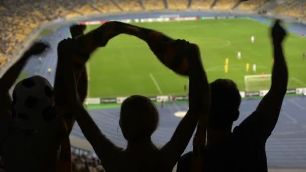 Brazilian Group Football Fans Celebrating Goal Crowded Stadium Championship — Stock Video