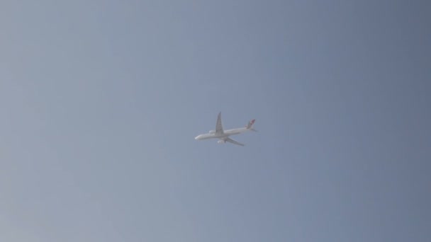 Avión Que Vuela Las Nubes Transporte Turístico Internacional Servicio Línea — Vídeos de Stock