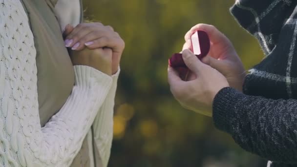 Homem Propondo Casamento Com Mulher Colocando Anel Dedo Momento Memorável — Vídeo de Stock