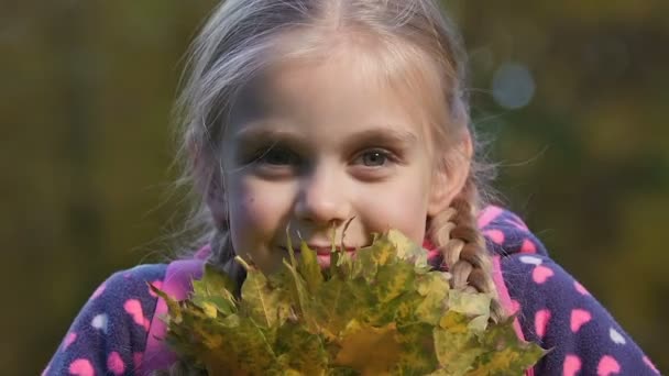 Маленька Дівчинка Кісками Пахне Букетом Осіннього Листя Діти Щастя — стокове відео