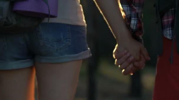 男性夏キャンプ旅行中にガール フレンドの手を握って カップルは フォレスト内の徒歩します — ストック動画