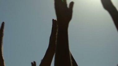 Yetiştirme ve boyuyla alkışlar memnun kişi müzik festivali, yakın çekim yaz