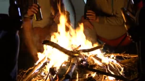 Group Happy Young Friends Sitting Camp Fire Drinking Beer Vacation — Stock Video