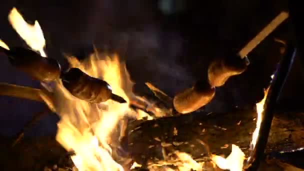 Sausages Sticks Frying Campfire Risk Wildfires People Cooking Outdoor — Stock Video