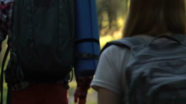 Grupo Melhores Amigos Carregando Mochilas Caminhadas Floresta Dia Ensolarado — Vídeo de Stock