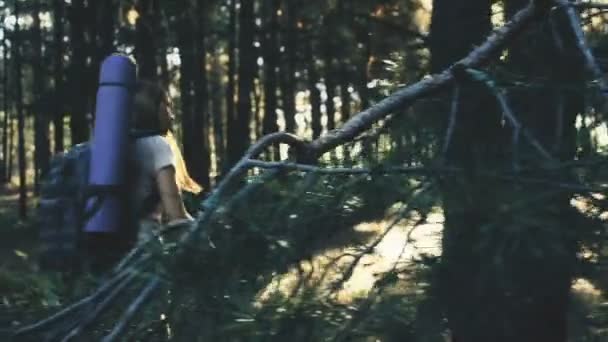 Maníaco Barbudo Observando Una Mochilera Perdida Bosque Hombre Peligroso — Vídeos de Stock