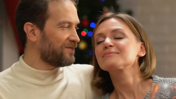 Pareja Feliz Celebrando Juntos Navidad Relaciones Cariñosas Cariñosas — Vídeo de stock