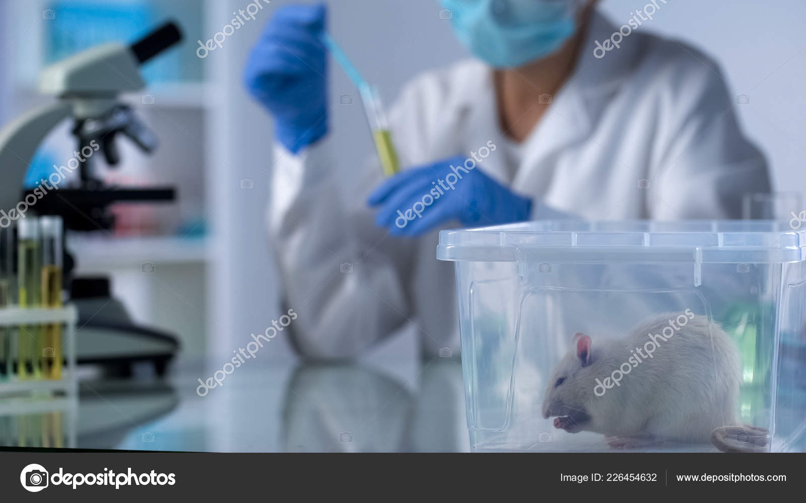 Lab Rat Plastic Box Table Woman Scientist Mixing Chemical Liquids