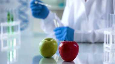 Yalan laboratuvar masa, bilim adamı kontrol gıda kalitesi, beslenme çalışmaları üzerinde meyve