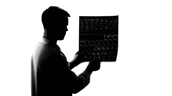 Silhouette Young Neurologist Examining Mri Results Brain Disease Occupation — Stock Photo, Image