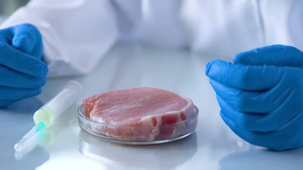 Fleischprobe Petrischale Vor Laborwissenschaftler Afrikanisches Schweinepest Virus — Stockfoto