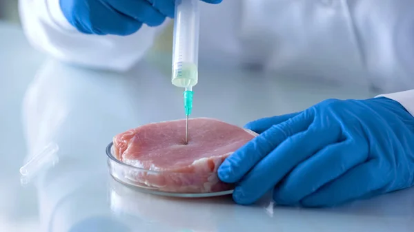 Wissenschaftler Injizieren Testflüssigkeit Fleischprobe Qualitätskontrolle Gmo Forschung — Stockfoto